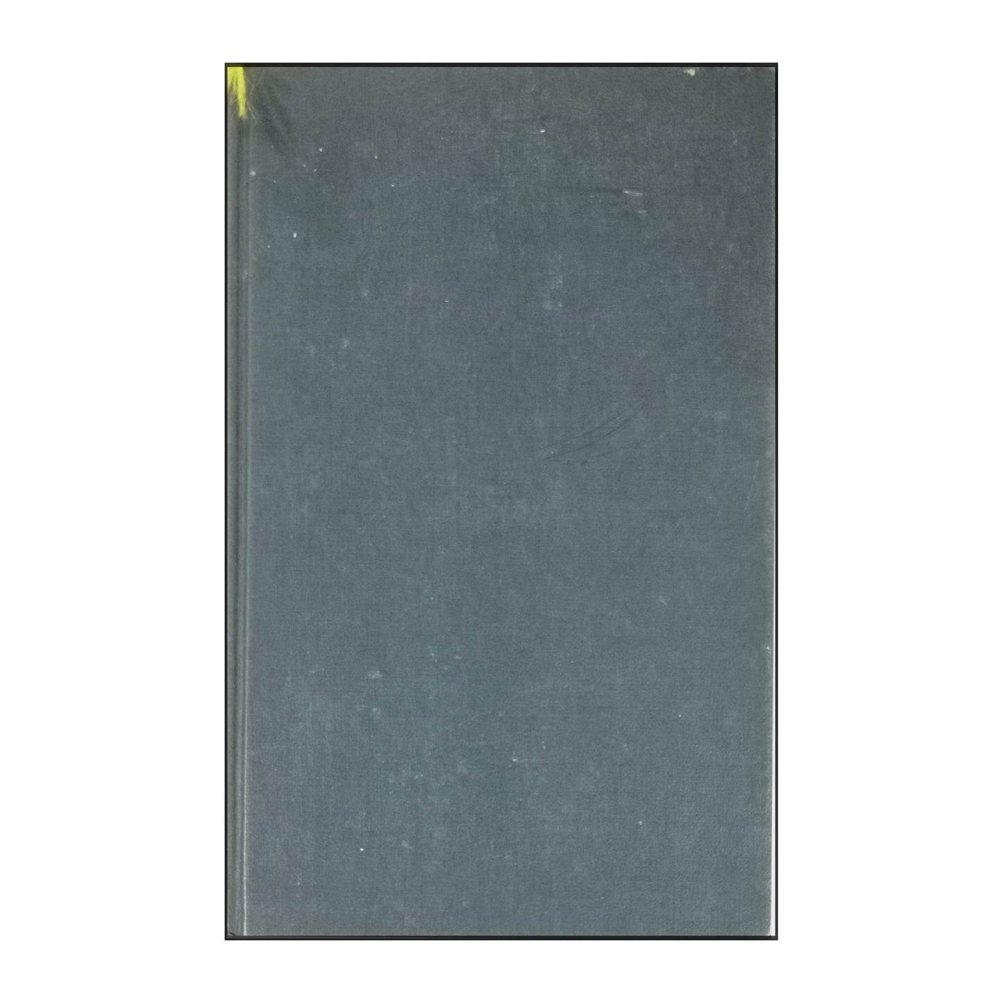Minette Walters: Eko