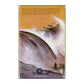 Alistair Maclean: Bäva Californien