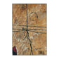 Tage Danielsson: Tage Danielssons Paket