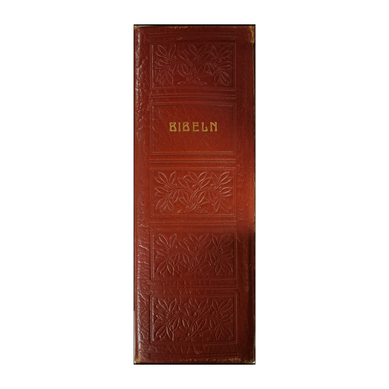 Bibeln