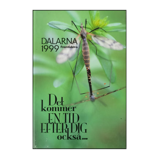 Dalarna 1999 Framtidstro Det Kommer En Tid Efter Dig Också