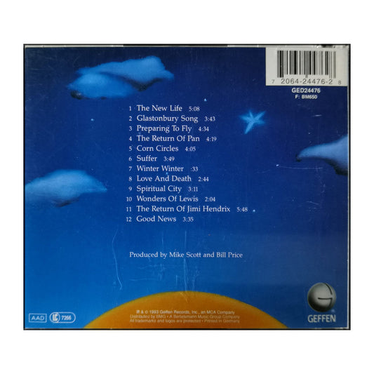 Waterboys: Dream Harder
