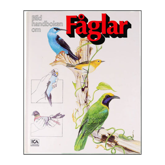 Bildhandboken Om Fåglar