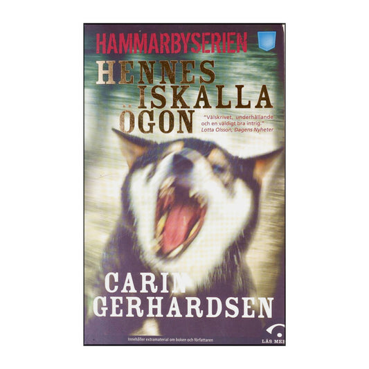Carin Gerhardsen: Hennes Iskalla Ögon