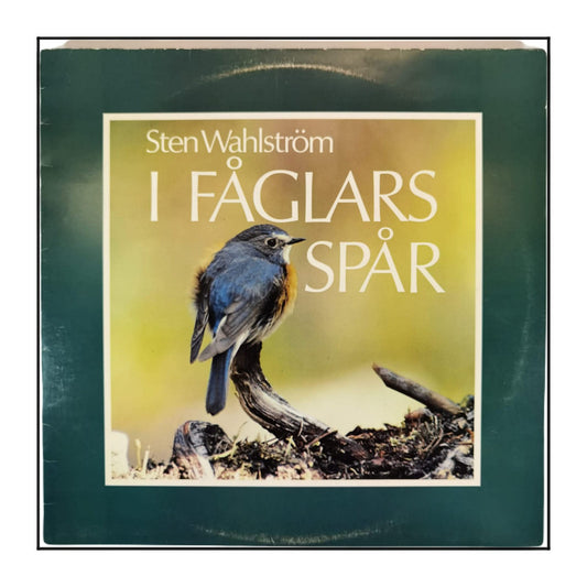 Sten Wahlströms: I Fåglars Spår