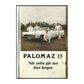 Palomaz - 15