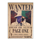 One Piece: Wanted Poster Page One 290000000 (420Mm X 285Mm)