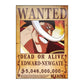 One Piece: Wanted Poster Edward Newgate 5046000000 (420Mm X 285Mm)