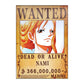 One Piece: Wanted Poster Nami 366000000 (420Mm X 285Mm)