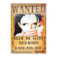 One Piece: Wanted Poster Nico Robin 930000000 (420Mm X 285Mm)
