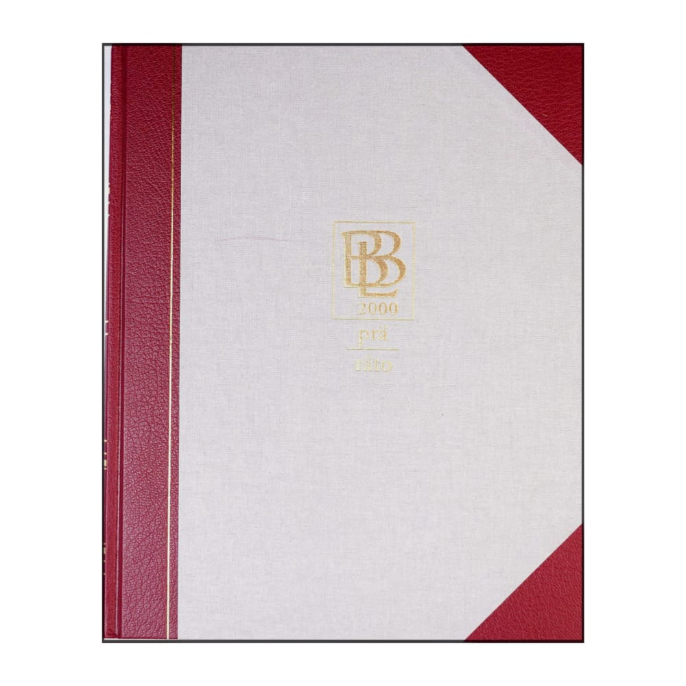 Bra Böckers Lexikon 2000 Band 19