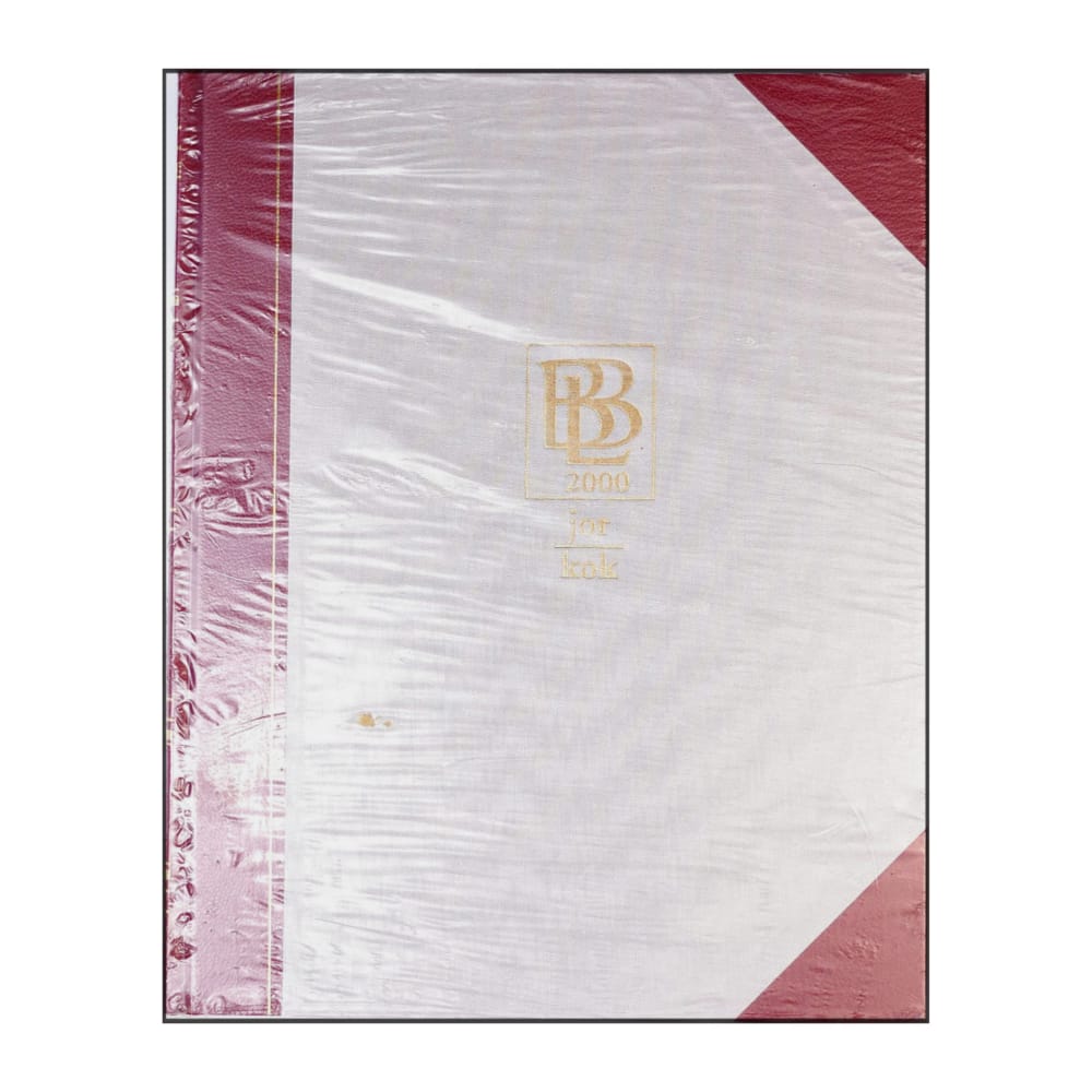 Bra Böckers Lexikon 2000 Band 13