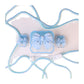 Ribbon Bow (Blue)