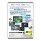 Conquest: Frontier Wars