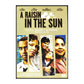 A Raisin In The Sun