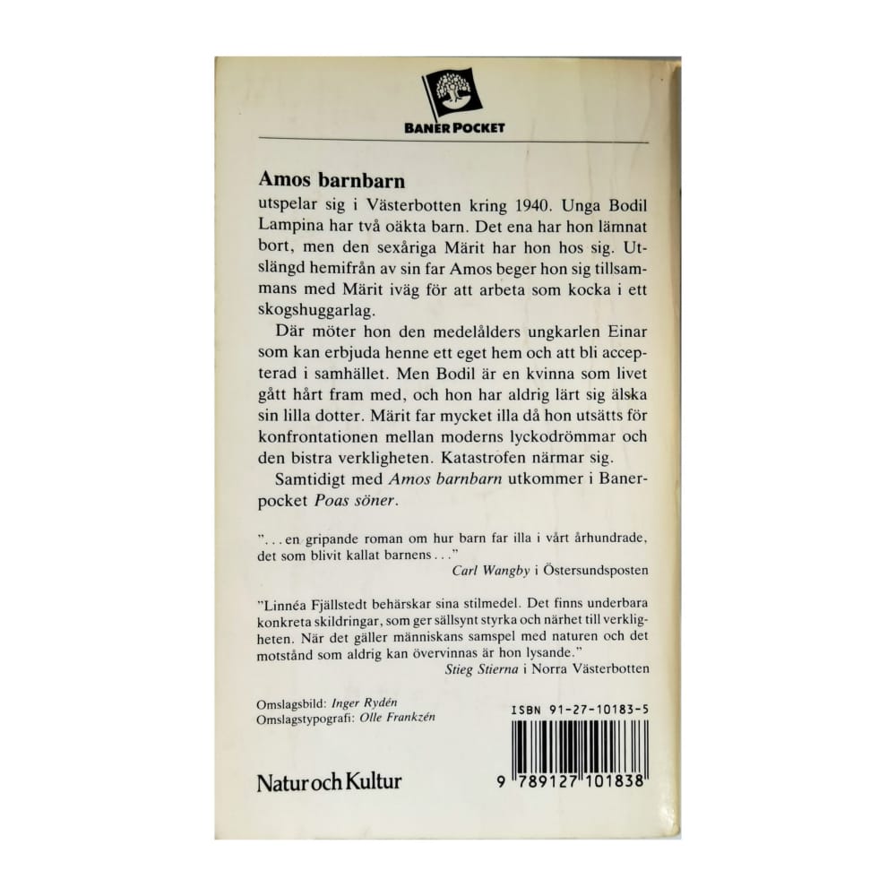 Linnéa Fjällstedt: Amos Barnbarn