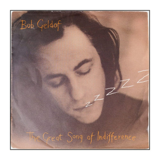 Bob Geldof: The Great Song Of Indifference