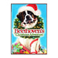 Beethoven'S Christmas Adventure