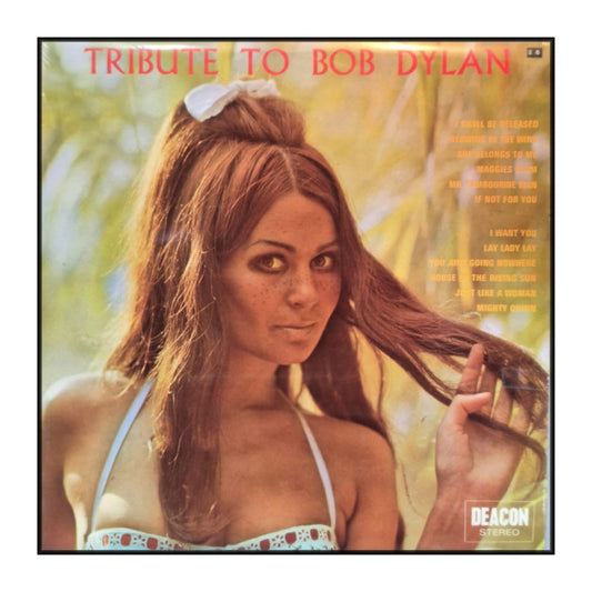 Dave Travis: Tribute To Bob Dylan