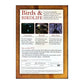 Birds & Birdlife 4