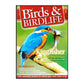Birds & Birdlife 1 Kingfisher