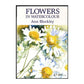 Ann Blockley: Flowers In Watercolour
