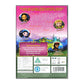 Bratz Kidz: Fairy Tales