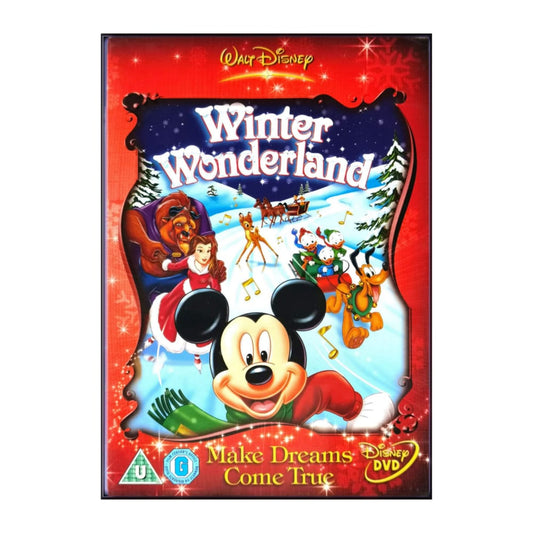 Disney Winter Wonderland