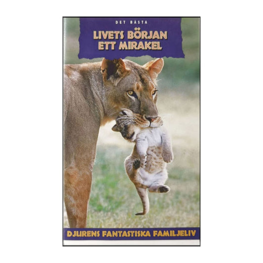 Djurens Fantastiska Familjeliv: Livets Början Ett Mirakel