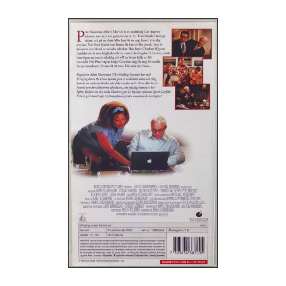 Bringing Down The House (2003)