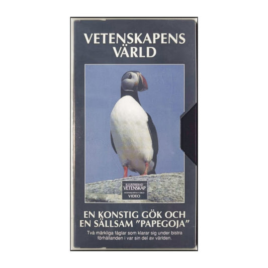 Vetenskapens Värld: Tuppgöken Och Lunnefåflen