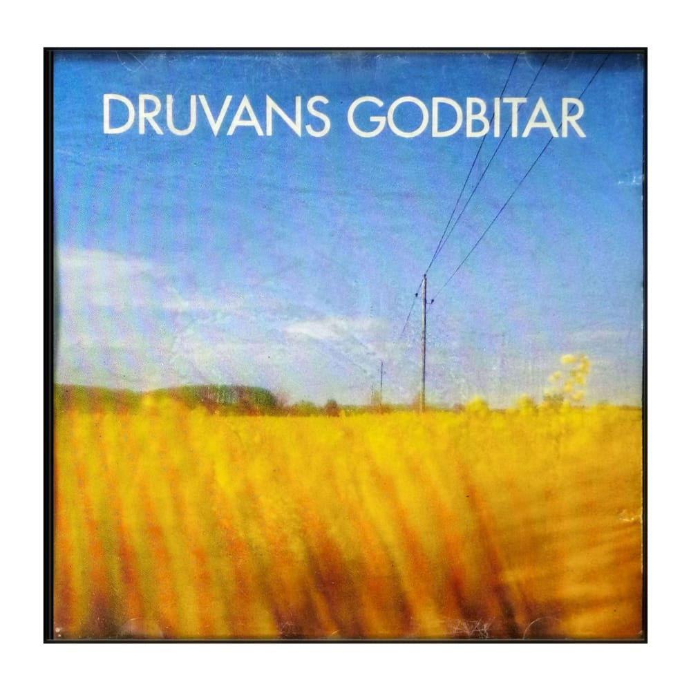 Druvans Godbitar