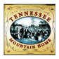 Tennessee Mountain Home: 23 Bluegrass Gems