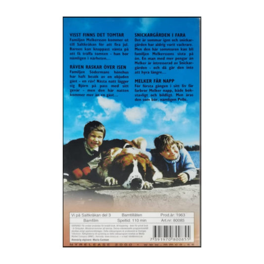 Vi På Saltkråkan 3 Räven Raskar Över Isen
