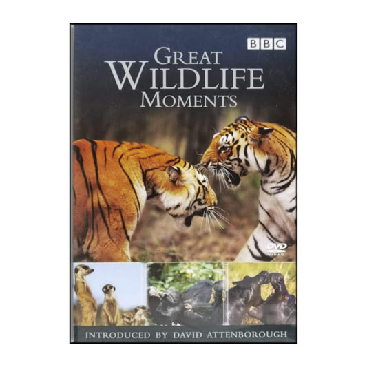 Great Wildlife Moments