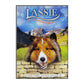 Lassie: The Painted Hills