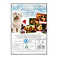 My Dog'S Christmas Miracle | A Dog'S Christmas Miracle
