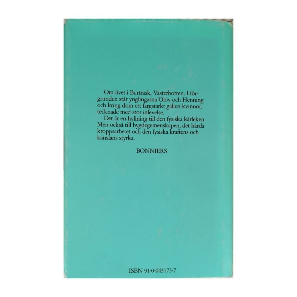 Henning Sjöström: Kvinnorna I Byn