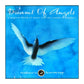 Chuck Jonkey: Dreams Of Angels