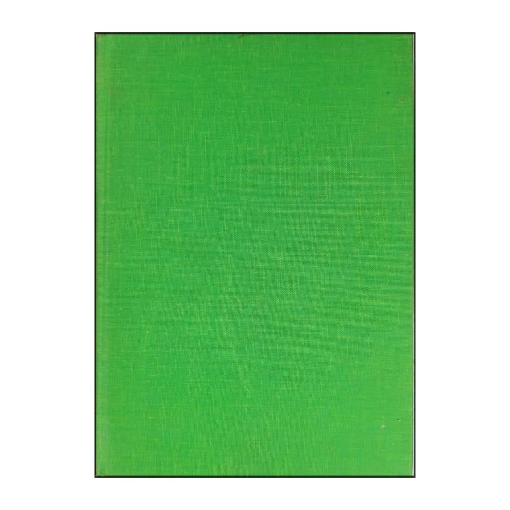 Michael Levey: Malerkunstens Historie