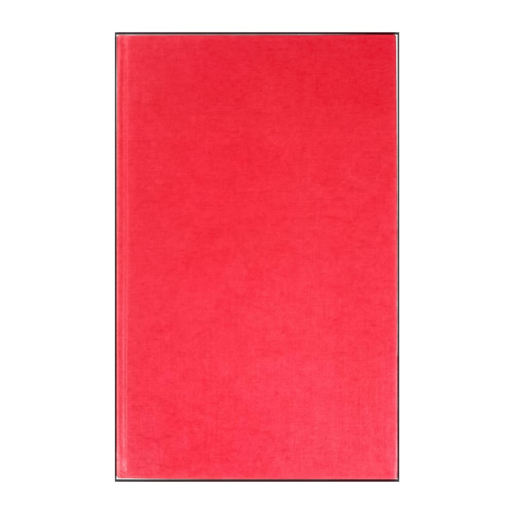 Jacqueline Briskin: Paloverde I Löftenas Stad