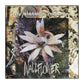 My Sister'S Machine: Wallflower