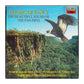 Flights Of Fancy: The Beautiful Sound Of The Pan Pipes