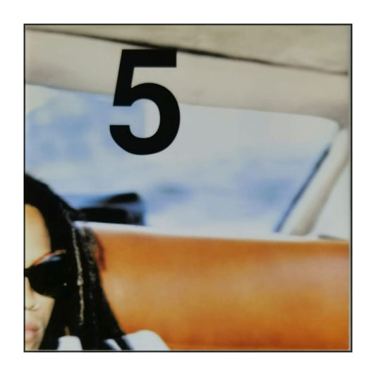 Lenny Kravitz 5