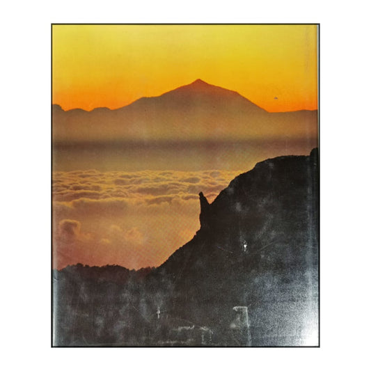 Liv Schackt Aure: Dekorera Med Svart Och Guld