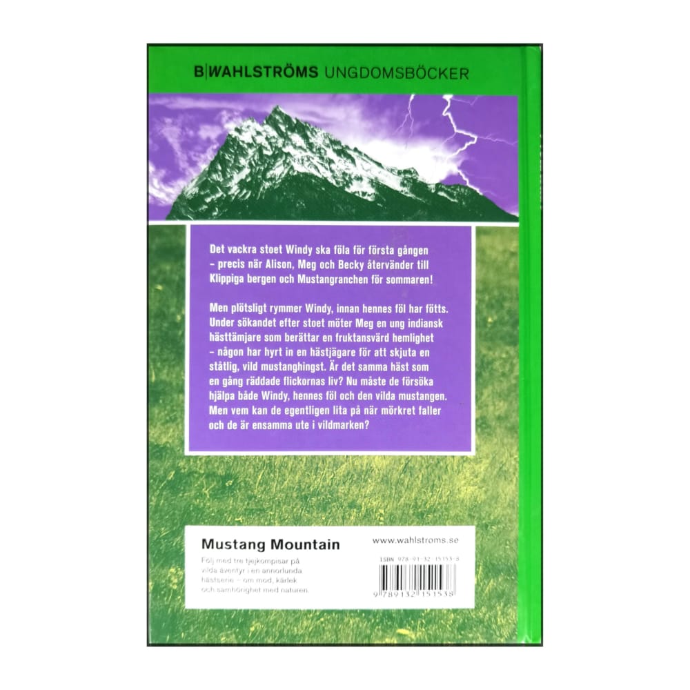 Sharon Siamon: Mustang Mountain: Hästjägaren