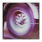 Mr Music Country 2001 Nr 10