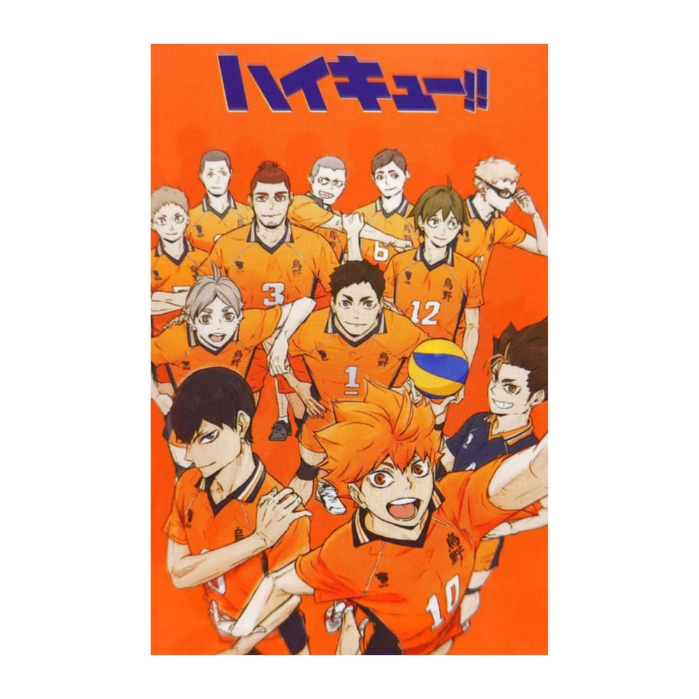 Haikyu: Lomo Card -