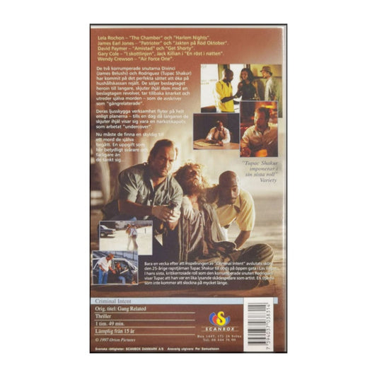 Gang Related | Criminal Intent