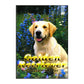 Golden Retriever: Möjligheternas Ras